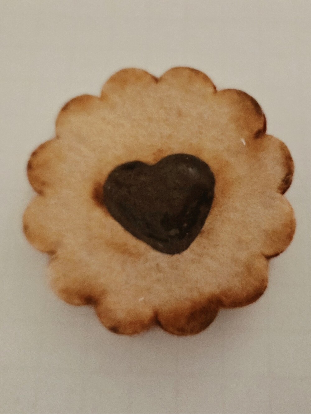 Italian Jelly Filled Felt Cookie Brooch